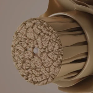 Introducción a la tricología y al diagnóstico capilar